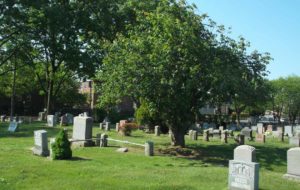 Canarsie-Cemtery-headstones-and-lush-green-tree