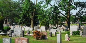 Gravestones-and-Trees-at-Canarsie-Cemeter